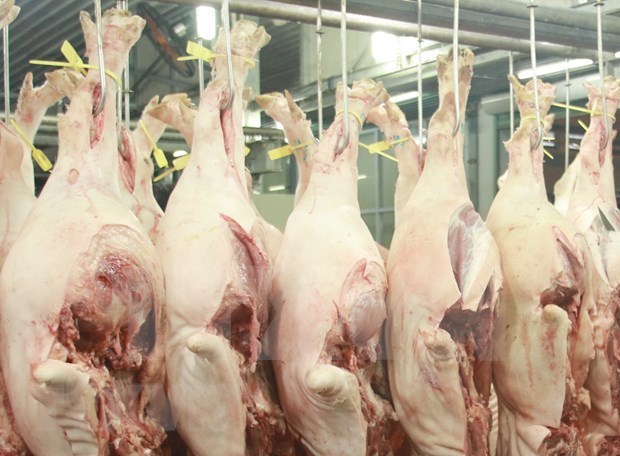 China, mayor mercado receptor de carne de Vietnam hinh anh 1