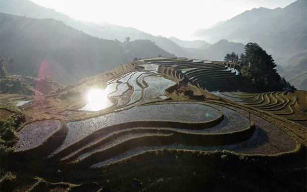 Agencia de noticias francesa resalta belleza de terrazas de arroz de Vietnam hinh anh 1