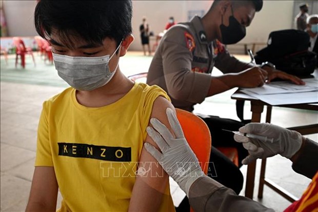 Indonesia comenzara vacunacion contra el COVID-19 a ninos de 6-11 anos de edad hinh anh 1