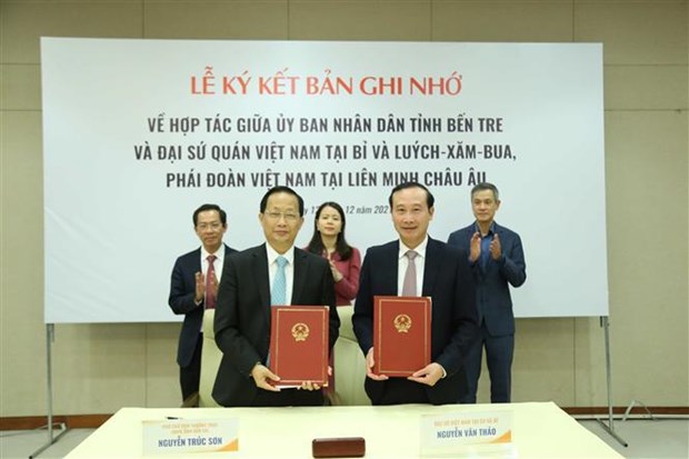 Buscan promover cooperacion entre localidades vietnamitas y la Union Europea hinh anh 1