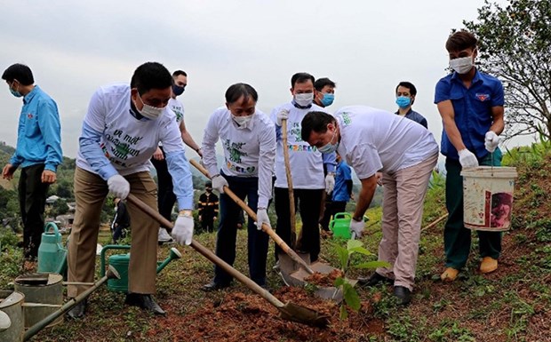Embajada de Israel apoya reforestacion en provincia vietnamita hinh anh 1