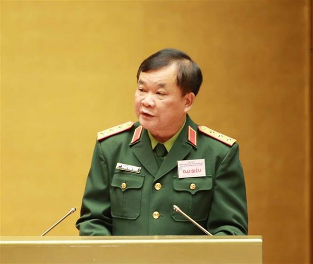 Vietnam persiste en proteger un entorno de paz hinh anh 2