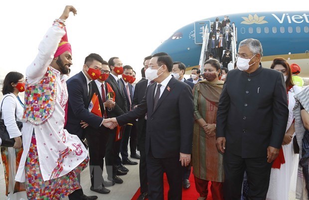 Presidente del Parlamento vietnamita inicia visita oficial a la India hinh anh 1