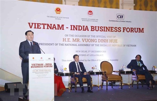 Destacan enormes potencialidades de cooperacion economica entre Vietnam y la India hinh anh 1