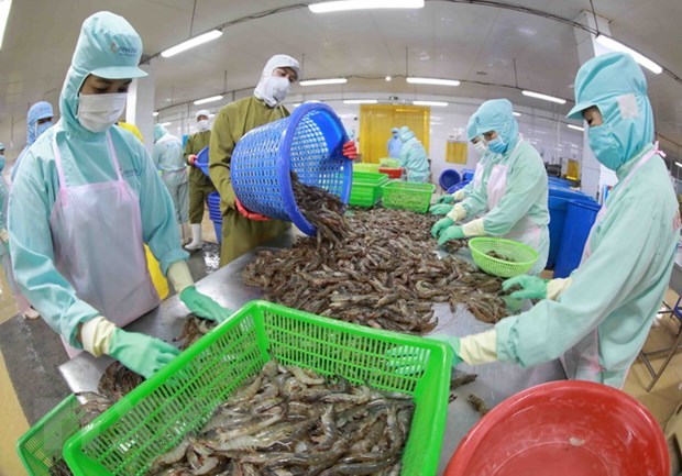Vietnam, quinto mayor proveedor de productos acuaticos de Japon hinh anh 1