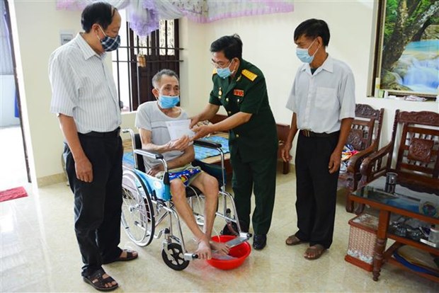Exhortan a mejorar lucha contra enfermedades provocadas por la dioxina en Vietnam hinh anh 1
