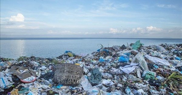 Vietnam por gestionar desechos plasticos oceanicos hacia el desarrollo pesquero sostenible hinh anh 1