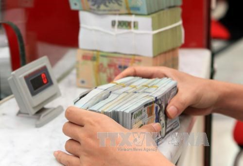 Remesas a Vietnam aumentan 10 por ciento en 2021, segun Banco Estatal hinh anh 1