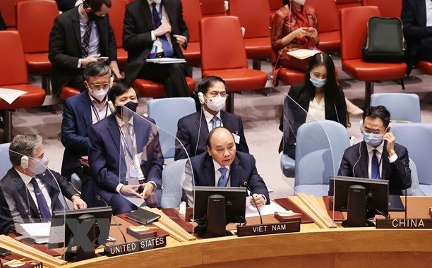 Diplomatica britanica alaba contribuciones de Vietnam al Consejo de Seguridad de la ONU hinh anh 1
