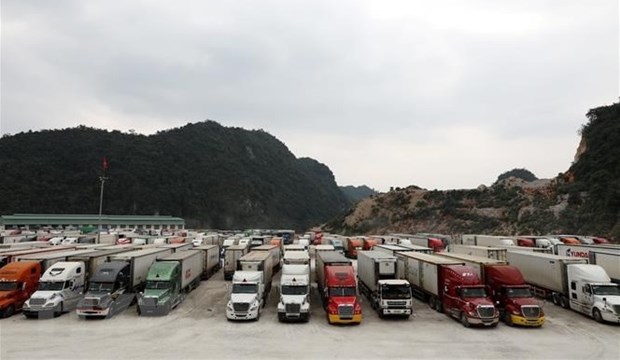 Vietnam y China buscan soluciones a la congestion de carga en puertas fronterizas hinh anh 1