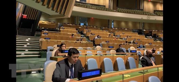 India aprecia contribuciones de Vietnam al Consejo de Seguridad de la ONU hinh anh 1