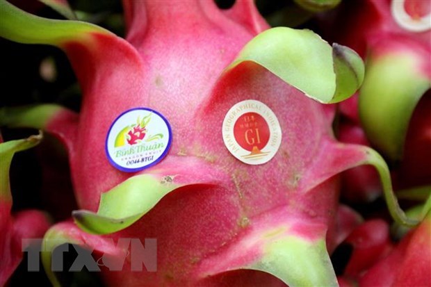 Certifican en Japon indicacion geografica de fruta del dragon de provincia vietnamita hinh anh 1