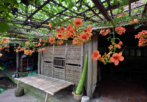 Destinos cercanos a Hanoi elegidos por turistas durante el Ano Nuevo hinh anh 3