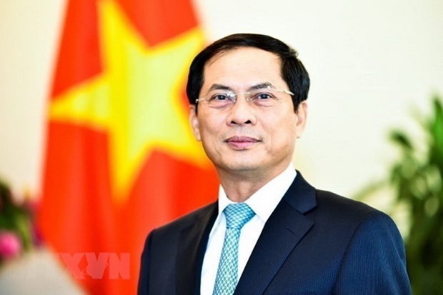 Alaban aportes de la diplomacia de Vietnam a salvaguardia y desarrollo nacional hinh anh 1