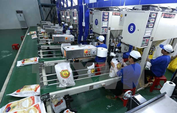 Vietnam trabaja para impulsar exportaciones al norte de Europa hinh anh 2
