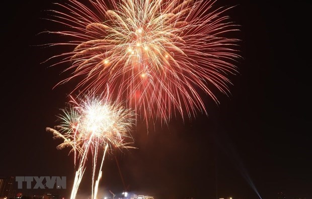 Propone suspender festivales y espectaculos de fuegos artificiales por Ano Nuevo Lunar hinh anh 1