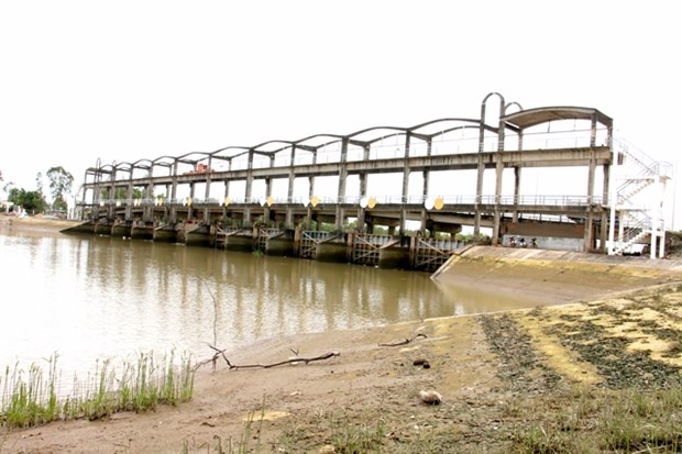 Delta del rio Mekong en Vietnam por almacenar agua para estacion seca hinh anh 1