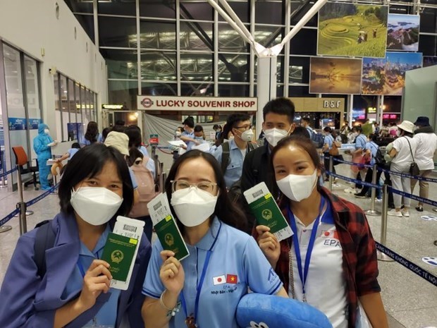 Vietnam registra disminucion en numero de trabajadores enviados al exterior hinh anh 1