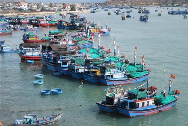 Provincia vietnamita por aumentar capacidad de su flota pesquera hinh anh 1