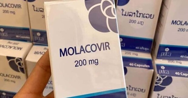 Laos refuerza produccion de medicamento Molnupiravir contra el COVID-19 hinh anh 1