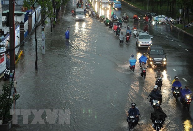 Actualizan escenario del cambio climatico en Vietnam hinh anh 2