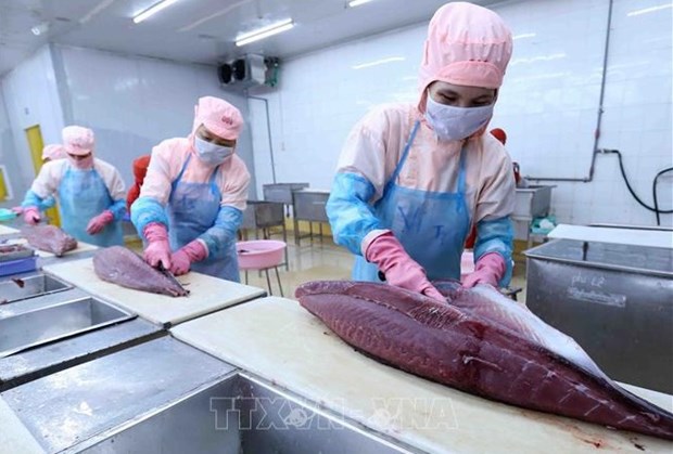Exportaciones del atun vietnamita aumentan 16,6 por ciento en 2021 hinh anh 1