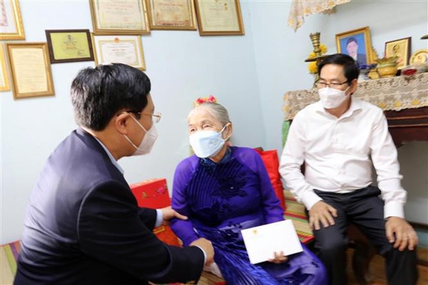 Viceprimer ministro de Vietnam visita provincia de Ba Ria-Vung Tau en ocasion de Tet hinh anh 2