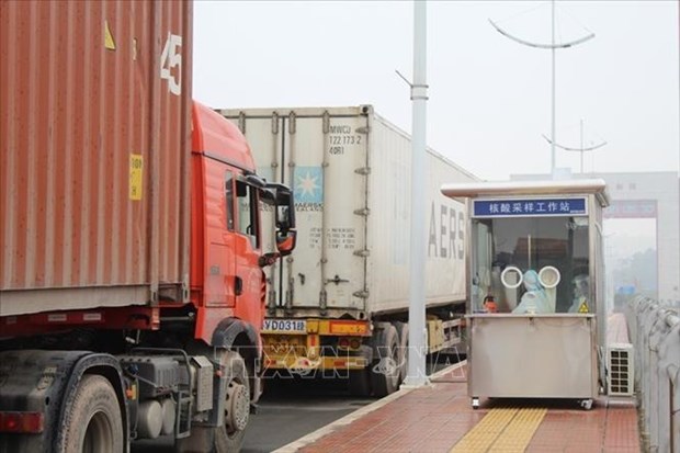 Provincias vietnamitas suspenden exportaciones de productos a China hinh anh 1