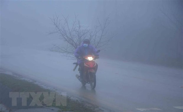 Norte de Vietnam continua viviendo frio intenso hinh anh 1