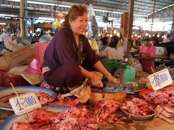 Laos prohibe la importacion de ciertos tipos de productos agricolas hinh anh 1