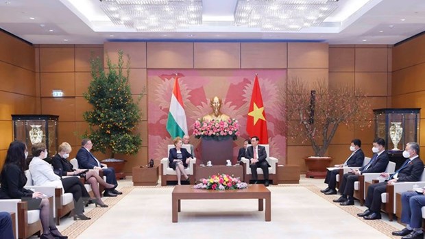 Vietnam y Hungria por vigorizar relaciones de cooperacion hinh anh 1