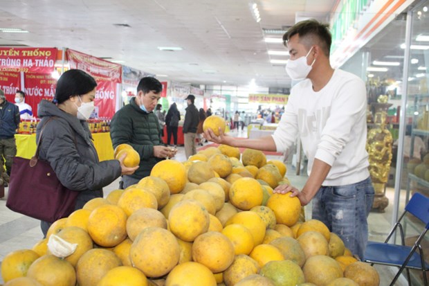 Feria por el Tet en Hanoi busca estimular consumo de productos domesticos hinh anh 1