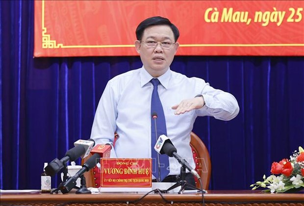 Presidente parlamentario vietnamita trabaja en provincias de Ca Mau y Dong Nai hinh anh 1