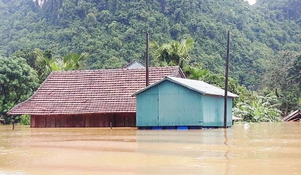 PNUD y WorldShare construyen mas casas resistentes a inundaciones en provincia vietnamita hinh anh 1
