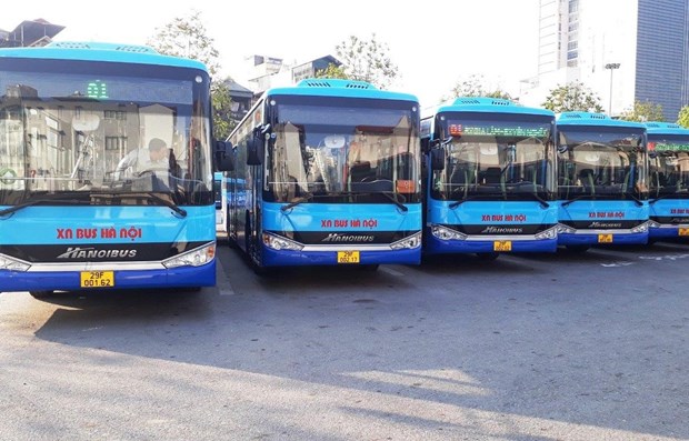 Hanoi reanudara los servicios de autobus en febrero proximo hinh anh 1