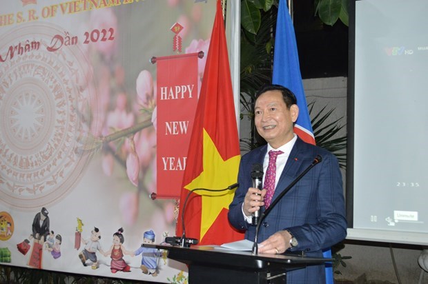 Embajador vietnamita destaca perspectivas de relaciones con Egipto hinh anh 1