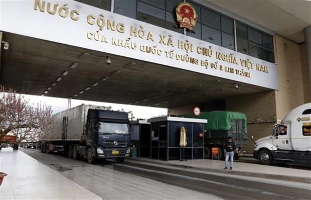 Exporta Vietnam casi 300 toneladas de productos agricolas a China en tres dias del Ano Lunar hinh anh 1