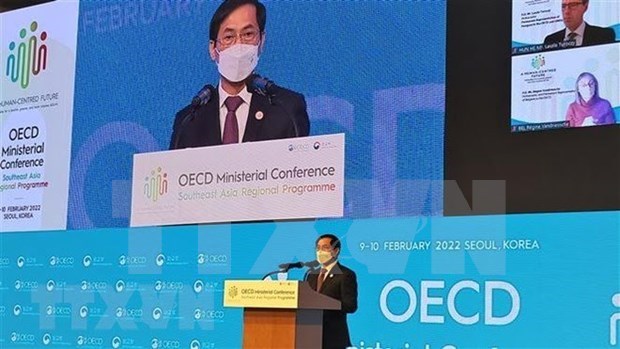 Vietnam asume cargo de copresidente del Programa del Sudeste Asiatico de la OCDE hinh anh 2