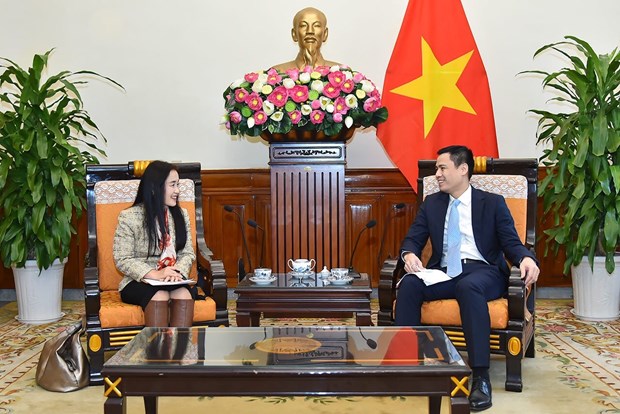 Vietnam busca fortalecer cooperacion con organos de la ONU hinh anh 1