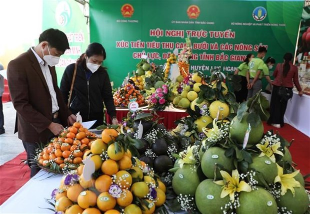 Provincia vietnamita de Bac Giang promueve consumo de productos agricolas en plataformas electronicos hinh anh 2