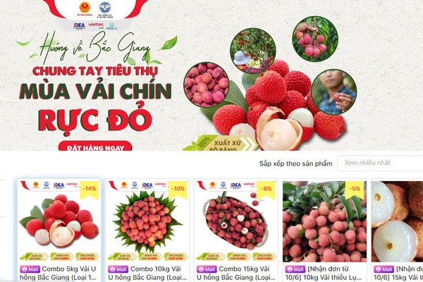 Provincia vietnamita de Bac Giang promueve consumo de productos agricolas en plataformas electronicos hinh anh 1