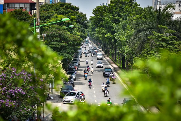 Hanoi por aumentar cobertura de arboles en zonas urbanas hinh anh 1