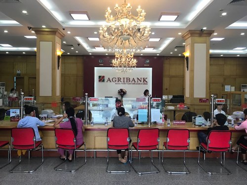 Once bancos vietnamitas entre los 500 de mayor valor el mundo en 2022 hinh anh 1