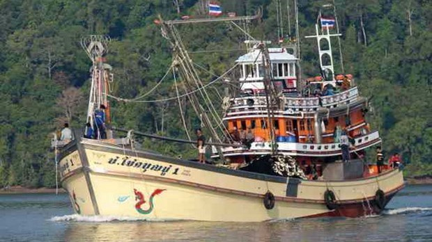 Tailandia crea una unidad especial para hacer frente a la pesca ilegal hinh anh 1
