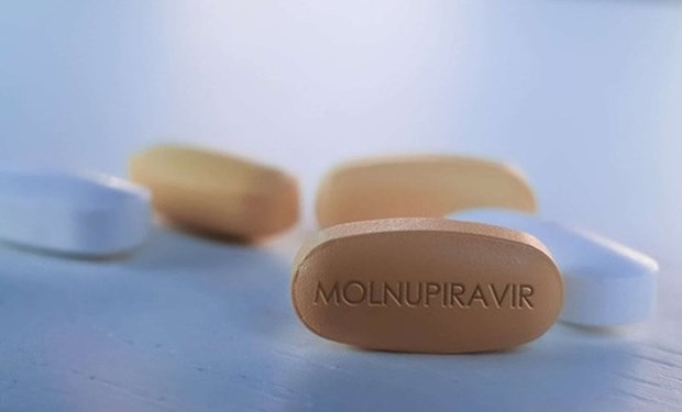 Vietnam autoriza circulacion de tres medicamentos Molnupiravir contra el COVID-19 hinh anh 1