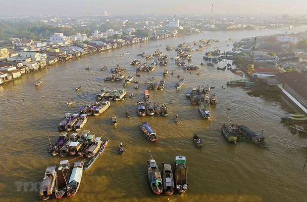 Sector turistico en el delta del Mekong se recupera gradualmente hinh anh 1