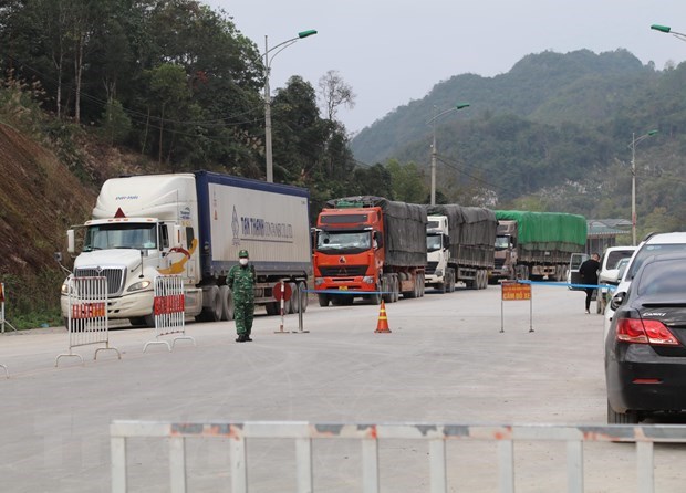 Despacho de mercancias en puertas fronterizas de Vietnam con China enfrenta dificultades hinh anh 1