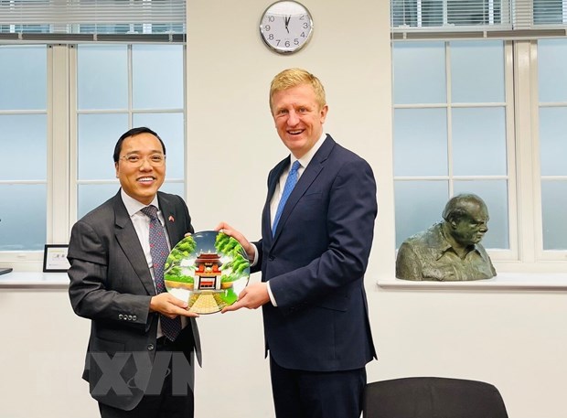Partido Conservador del Reino Unido apoya la promocion de relaciones con Vietnam hinh anh 1
