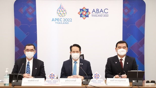 Asesor Empresarial del APEC aboga por impulsar transformacion digital hinh anh 1