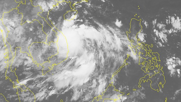 Pronostican entre 10 y 12 tormentas y depresiones tropicales en el Mar del Este para 2022 hinh anh 1